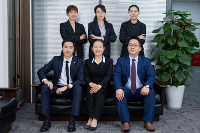 上海诉讼辩护律师